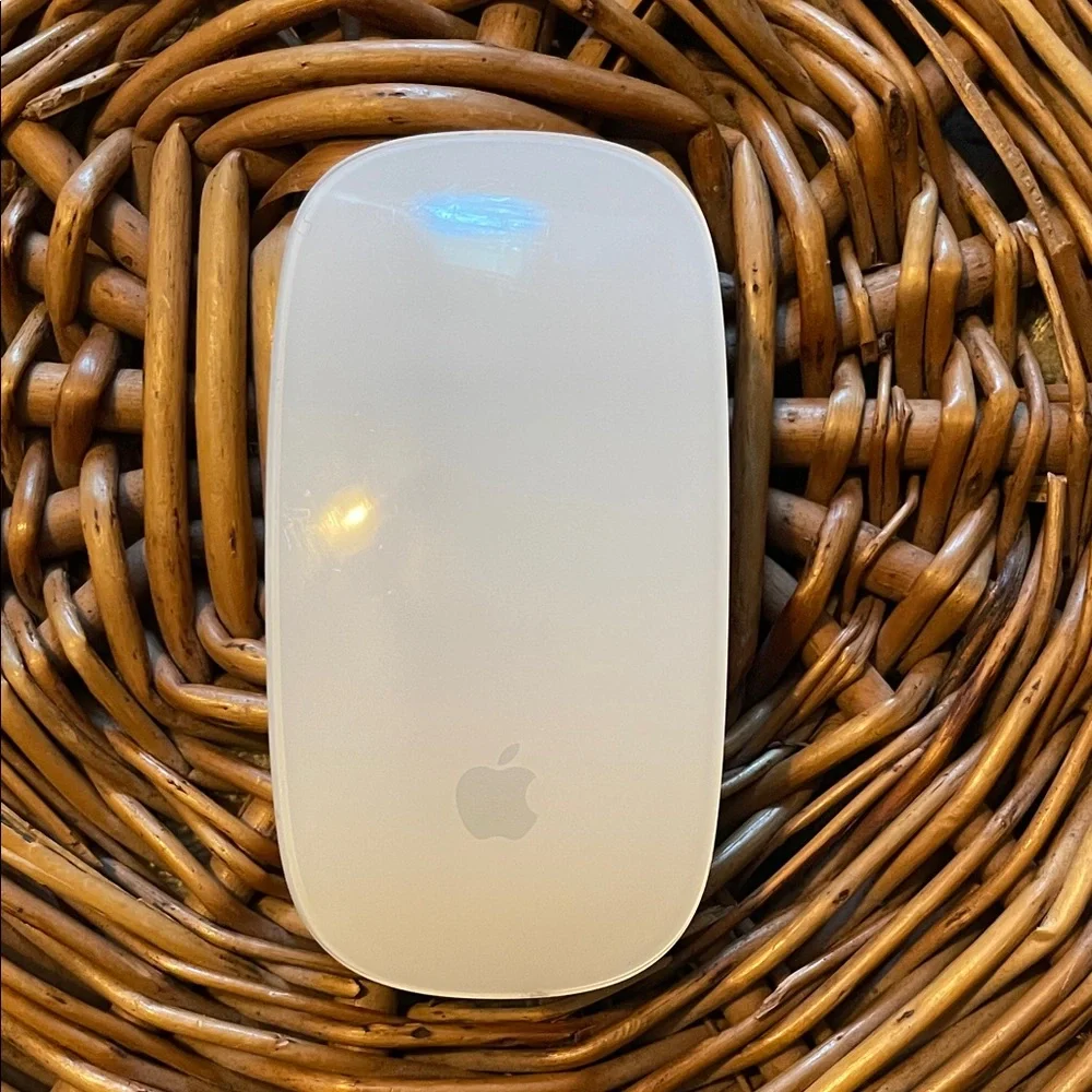 Apple Sleek White Mouse- UNTESTED